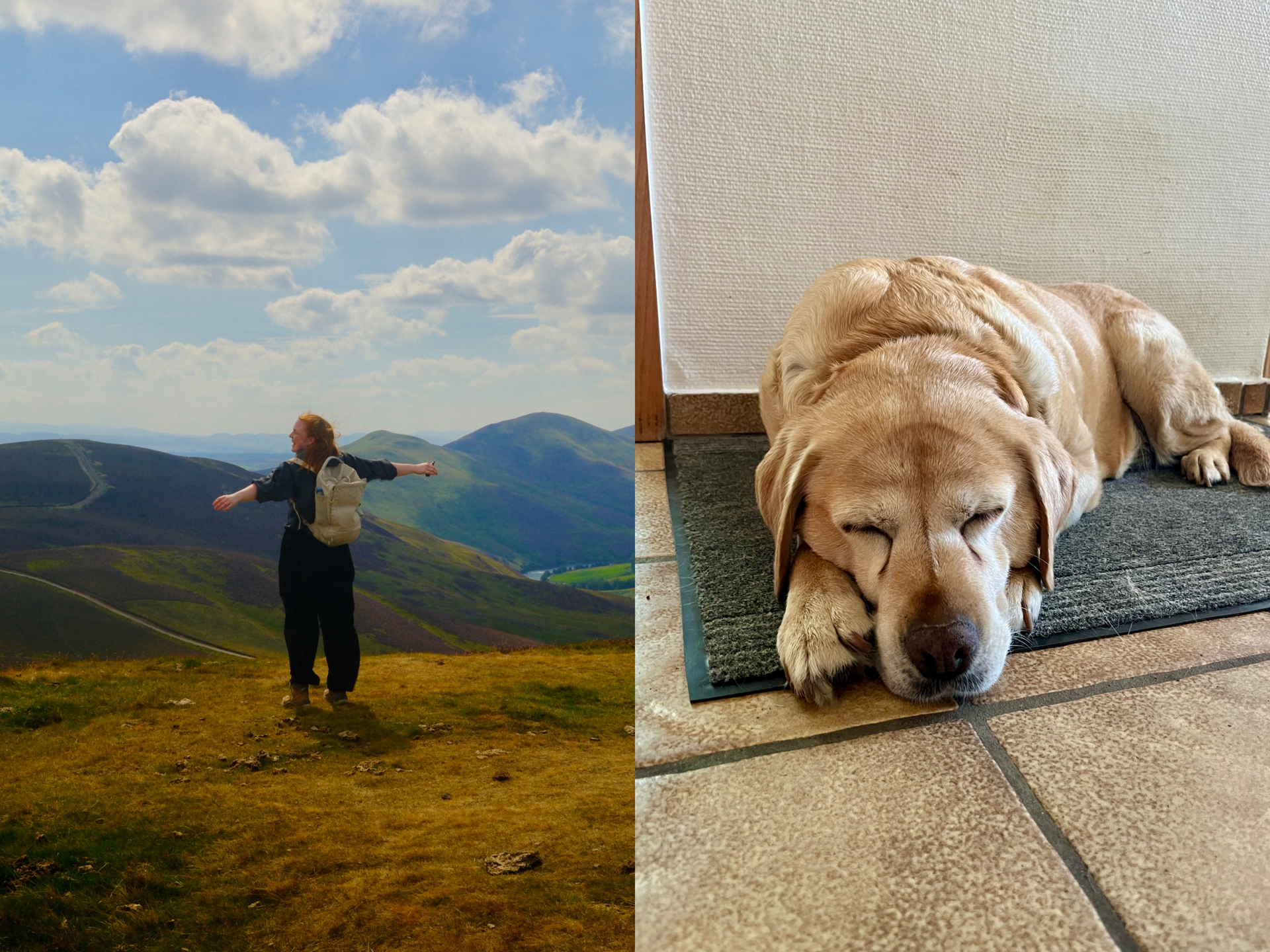 Willkommen! Zwei Bilder für den Anfang